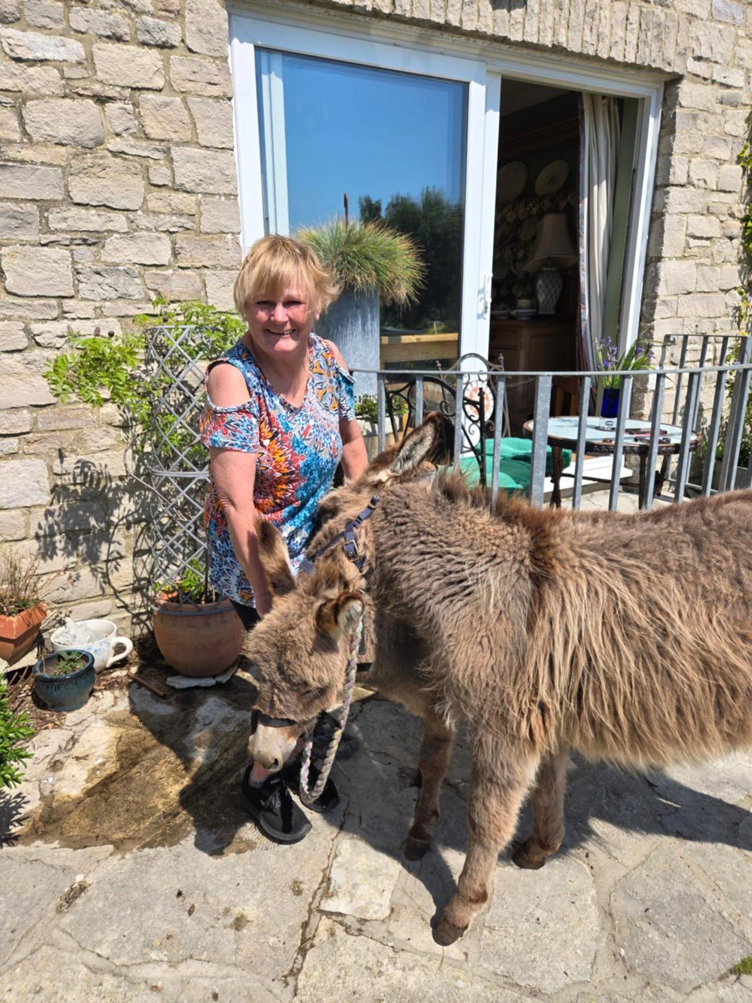 Swallows Rest Weymouth Zewnętrze zdjęcie